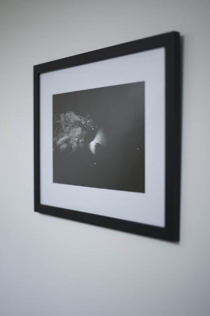 Ingelijst kunstwerk aan de muur van de praktijk